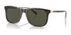 Polo PH4186U Sunglasses | Size 55 / Havana / Dark Green (3N 10.5%) №602782