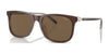Polo PH4186U Sunglasses | Size 55 / Shiny Transparent Brown On Crystal / Brown (3N 14.5%) №602973