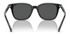 Polo PH4187F Sunglasses | Size 53 / Shiny Antique Tortoise №5309/3 / Brown (3N 12%)