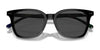 Polo PH4187F Sunglasses | Size 53 / Shiny Antique Tortoise №5309/3 / Brown (3N 12%)