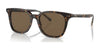 Polo PH4187F Sunglasses | Size 53 / Shiny Dark Havana №500373 / Bottle Green (3N 14.5%)