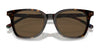 Polo PH4187F Sunglasses | Size 53 / Shiny Antique Tortoise №5309/3 / Brown (3N 12%)