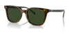 Polo PH4187F Sunglasses | Size 53 / Shiny Jerry Havana №501771 / Brown (3N 9.4%)