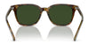 Polo PH4187F Sunglasses | Size 53 / Shiny Antique Tortoise №5309/3 / Brown (3N 12%)