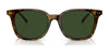 Polo PH4187F Sunglasses | Size 53 / Shiny Antique Tortoise №5309/3 / Brown (3N 12%)