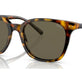Shiny Antique Tortoise №5309/3