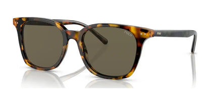 Polo PH4187F Sunglasses Shiny Antique Tortoise / Brown