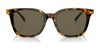 Polo PH4187F Sunglasses | Size 53 / Shiny Antique Tortoise №5309/3 / Brown (3N 12%)