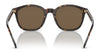 Polo PH4188F Sunglasses | Size 54 / Shiny Dark Havana / Brown (3N 14.5%) №500373