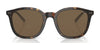 Polo PH4188F Sunglasses | Size 54 / Shiny Dark Havana / Brown (3N 14.5%) №500373