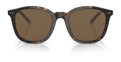 Polo PH4188F Sunglasses | Size 54