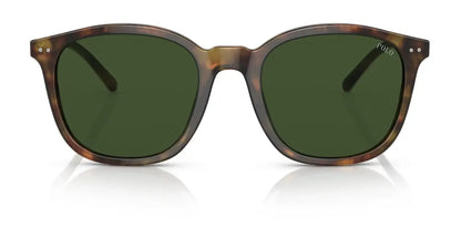Polo PH4188F Sunglasses | Size 54
