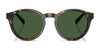 Polo PH4192 Sunglasses | Size 51 / Shiny Dark Green / Light Green (2N 35.1%) №6141/2