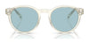 Polo PH4192 Sunglasses | Size 51 / Shiny Dark Green / Light Green (2N 35.1%) №6141/2