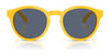 Polo PH4192 Sunglasses | Size 51 / Shiny Dark Green / Light Green (2N 35.1%) №6141/2