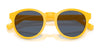 Polo PH4192 Sunglasses | Size 51 / Shiny Dark Green / Light Green (2N 35.1%) №6141/2