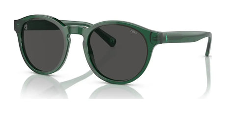 Polo PH4192 Sunglasses Shiny Transparent Green / Dark Grey