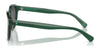 Polo PH4192 Sunglasses | Size 51 / Shiny Dark Green / Light Green (2N 35.1%) №6141/2