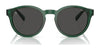 Polo PH4192 Sunglasses | Size 51 / Shiny Dark Green / Light Green (2N 35.1%) №6141/2
