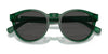 Polo PH4192 Sunglasses | Size 51 / Shiny Dark Green / Light Green (2N 35.1%) №6141/2