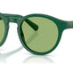 Shiny Dark Green