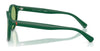 Polo PH4192 Sunglasses | Size 51 / Shiny Dark Green / Light Green (2N 35.1%) №6141/2