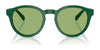 Polo PH4192 Sunglasses | Size 51 / Shiny Dark Green / Light Green (2N 35.1%) №6141/2