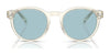 Polo PH4192F Sunglasses | Size 51 / Shiny Transparent Grey / Dark Grey (3N 10.1%) №541387