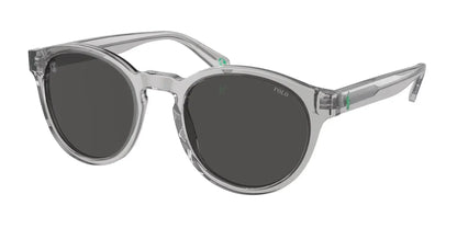 Polo PH4192F Sunglasses Shiny Transparent Grey / Dark Grey