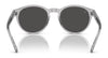 Polo PH4192F Sunglasses | Size 51 / Shiny Transparent Grey / Dark Grey (3N 10.1%) №541387