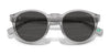 Polo PH4192F Sunglasses | Size 51 / Shiny Transparent Grey / Dark Grey (3N 10.1%) №541387