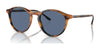 Polo PH4193 Sunglasses | Size 51 / Shiny Red Havana №608980 / Blue (3N 15.2%)