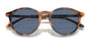 Polo PH4193 Sunglasses | Size 51 / Shiny Red Havana №608980 / Blue (3N 15.2%)