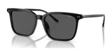 Polo PH4194U Sunglasses Shiny Black / Grey