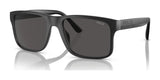 Polo PH4195U Sunglasses Matte Black / Dark Grey