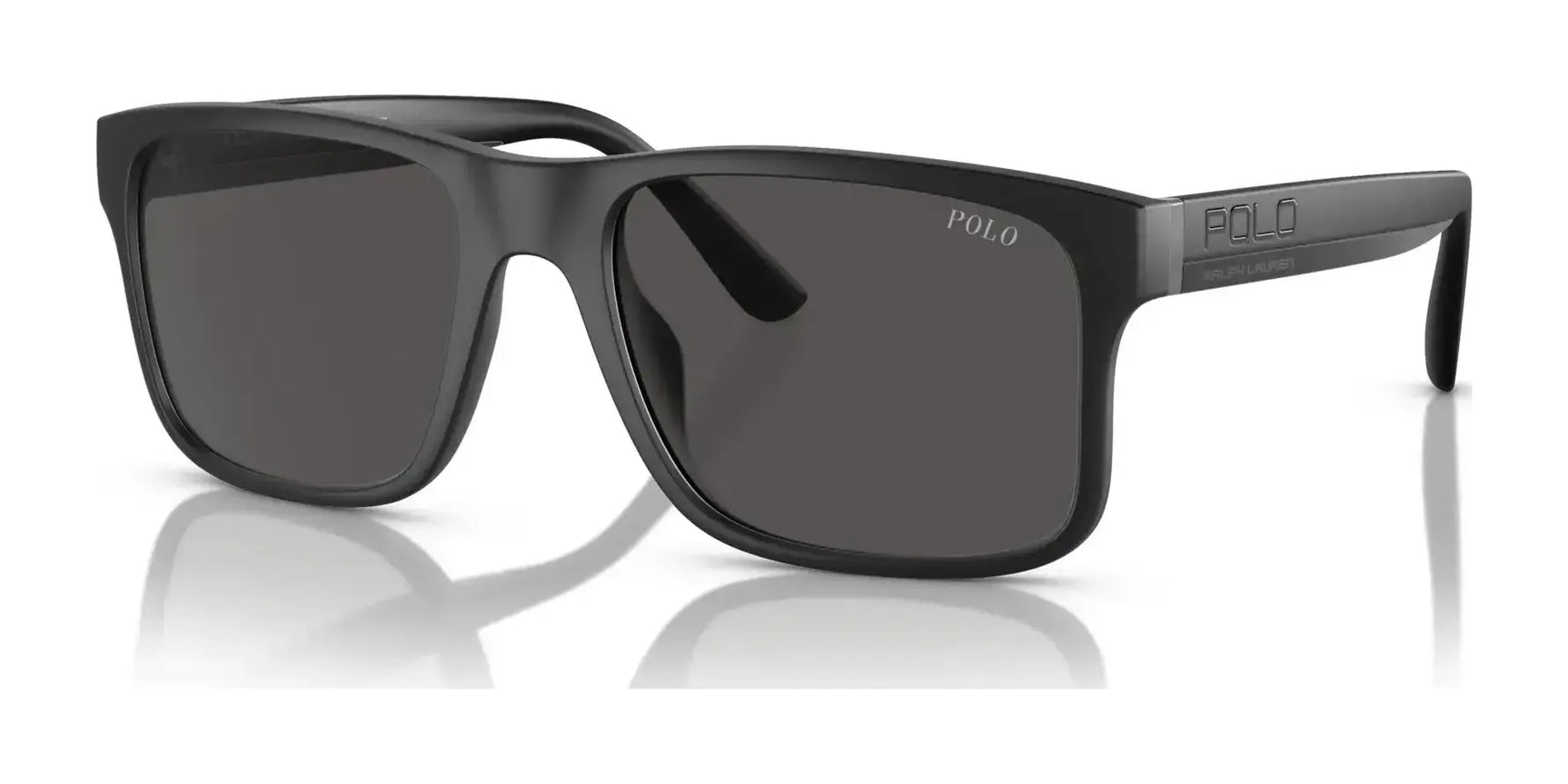 Polo PH4195U Sunglasses Matte Black / Dark Grey