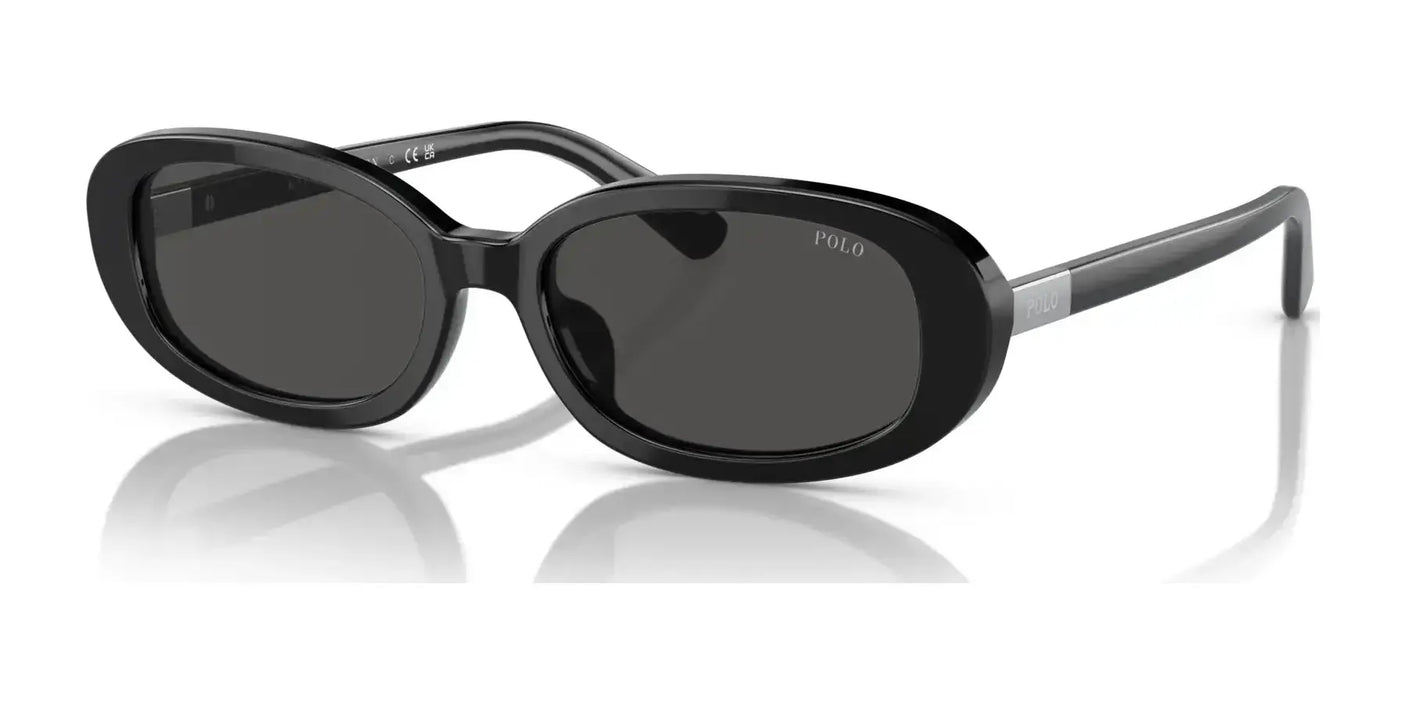 Polo PH4198U Sunglasses Shiny Black / Dark Grey