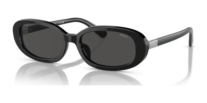 Polo PH4198U Sunglasses | Size 53 / Shiny Black / Dark Grey (3N 10.1%) №500187