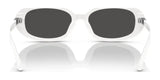 Polo PH4198U Sunglasses | Size 53