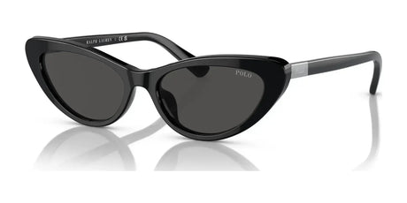 Polo PH4199U Sunglasses Shiny Black / Dark Grey