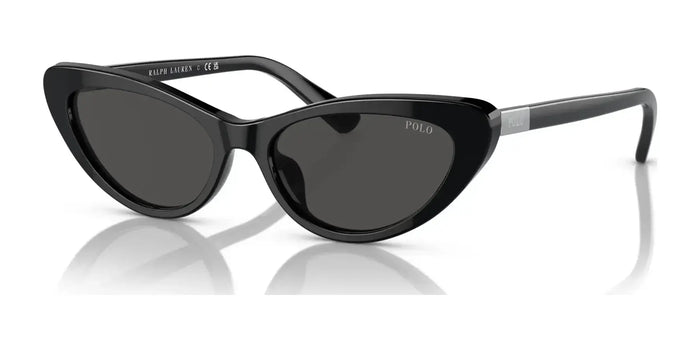 Polo PH4199U Sunglasses | Size 54 / Shiny Black / Dark Grey (3N 10.1%) №500187