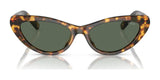 Polo PH4199U Sunglasses | Size 54