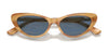 Polo PH4199U Sunglasses | Size 54 / Shiny Black / Dark Grey (3N 10.1%) №500187
