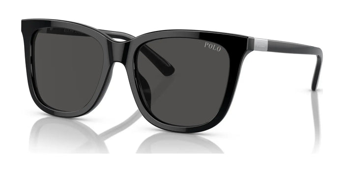 Polo PH4201U Sunglasses | Size 55 / Shiny Black / Dark Grey (3N 10.1%) №500187