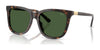 Polo PH4201U Sunglasses | Size 55 / Shiny Dark Havana / Bottle Green (3N 9.7%) №500371
