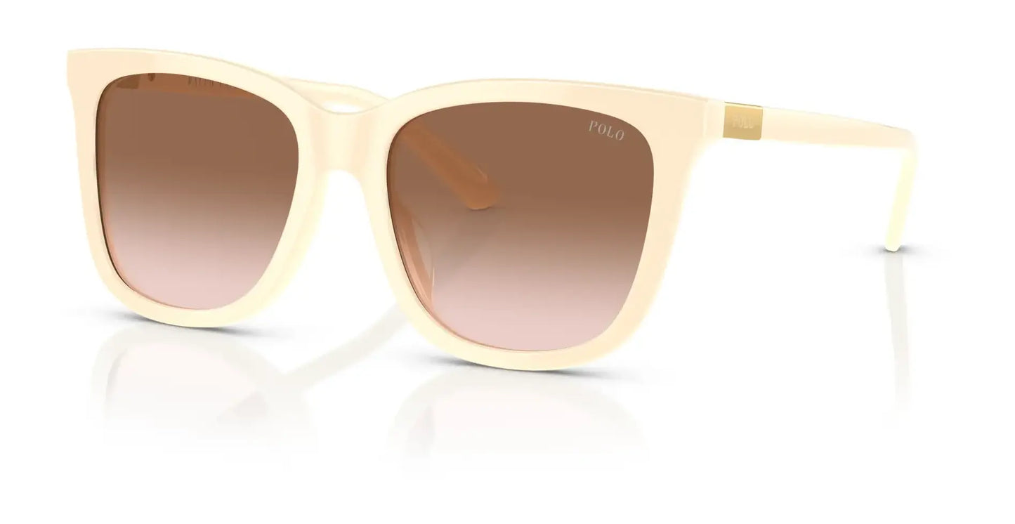 Polo PH4201U Sunglasses Shiny Cream / Gradient Brown