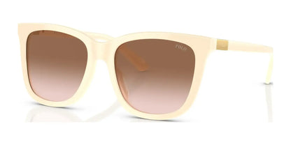 Polo PH4201U Sunglasses Shiny Cream / Gradient Brown