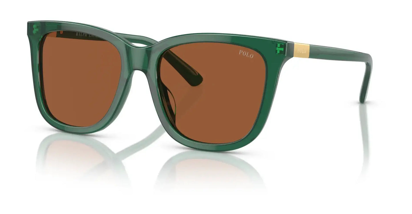 Polo PH4201U Sunglasses Shiny Transparent Green / Brown