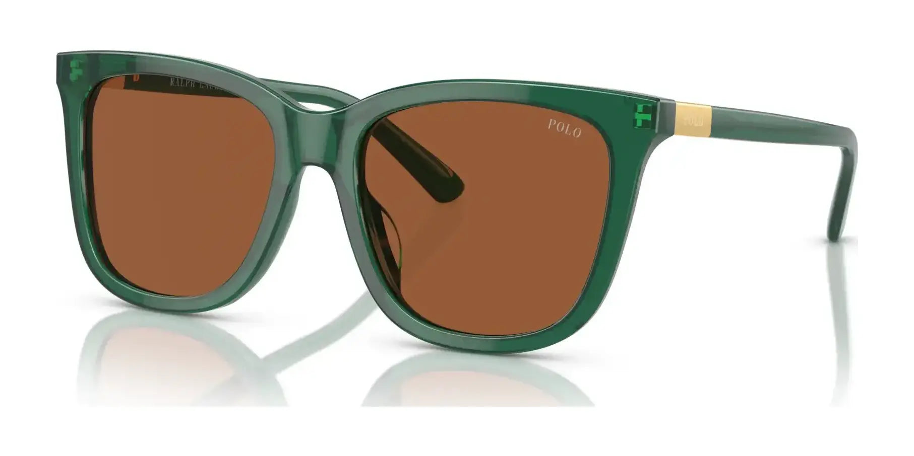 Polo PH4201U Sunglasses Shiny Transparent Green / Brown