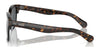 Polo PH4202 Sunglasses | Size 55 / Shiny Dark Havana / Grey (3N 9.3%) №500387